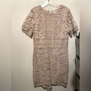 She & Sky Brand Tan Lace Dress with Zipper Back, Size Medium